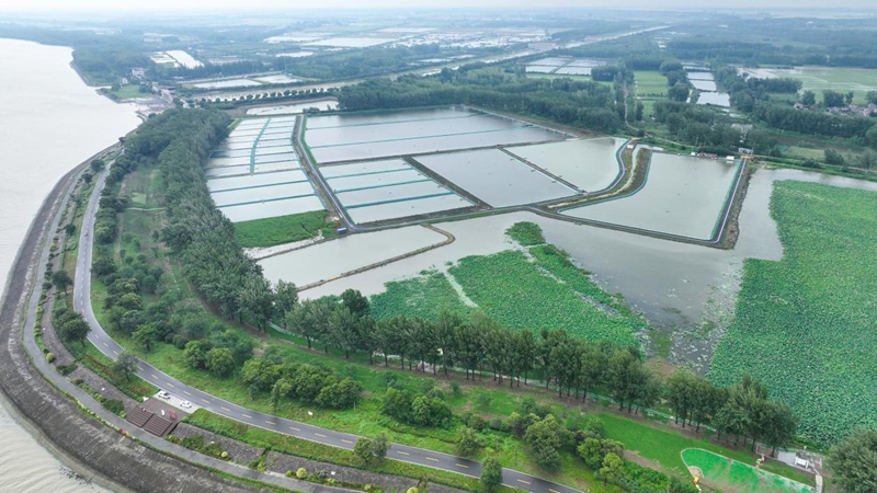 小螺蛳、小龙虾、大闸蟹